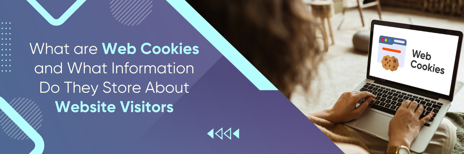 What Are Web Cookies and What Information Do They Store About Website Visitors?